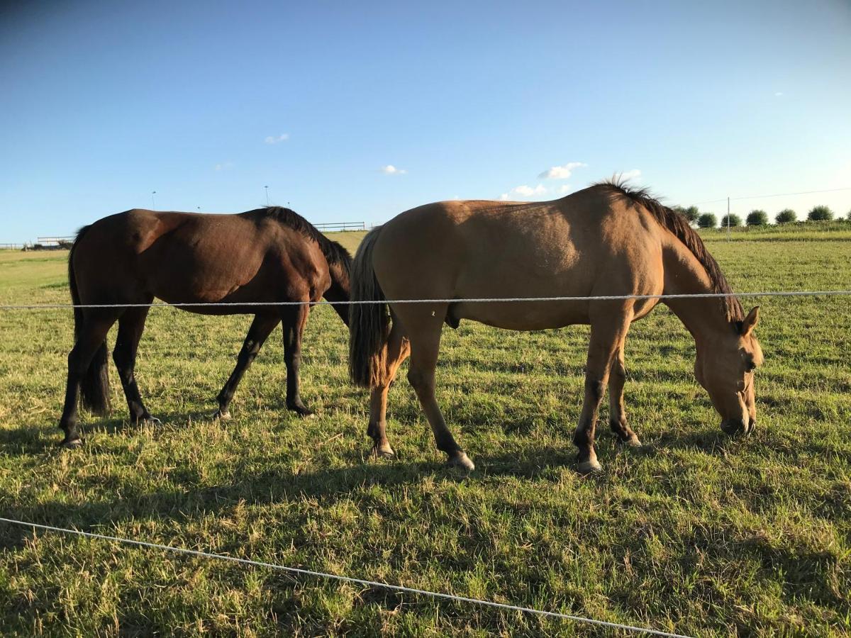 Glamping Och Gardslagenhet Mellan Himmel Och Hav Appartement Skivarp Buitenkant foto